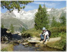 ���삪�A�A